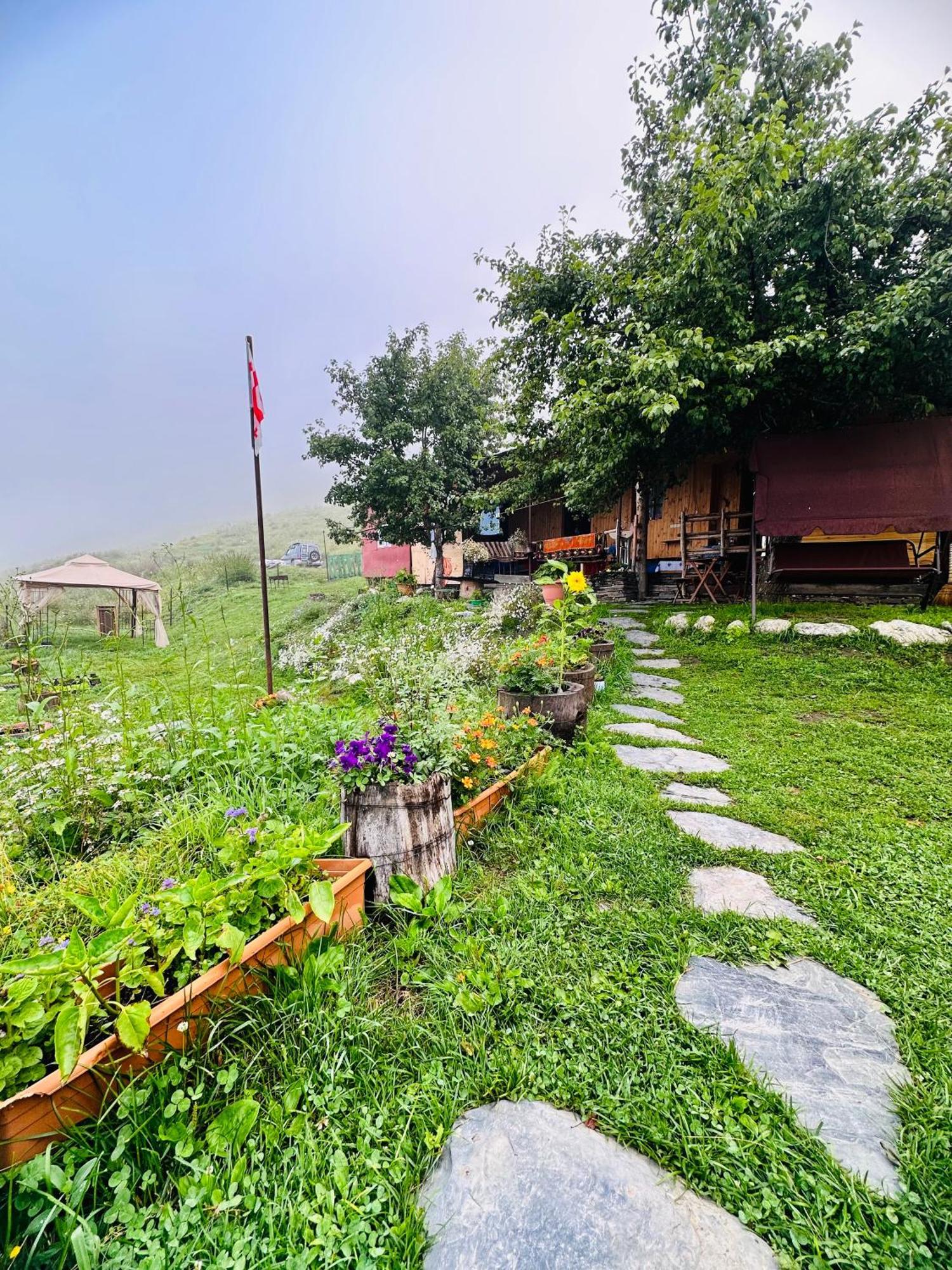 Pirikiti Hotel Akhmeta Екстериор снимка